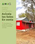 AVICOLA LOS SOLES, SITAI  Inmobiliarios, Villa Mercedes